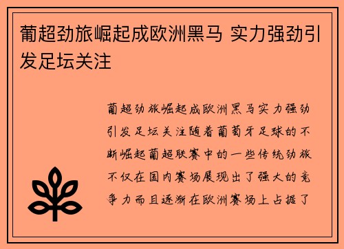 葡超劲旅崛起成欧洲黑马 实力强劲引发足坛关注 葡超劲旅崛起成欧洲黑马 实力强劲引发足坛关注